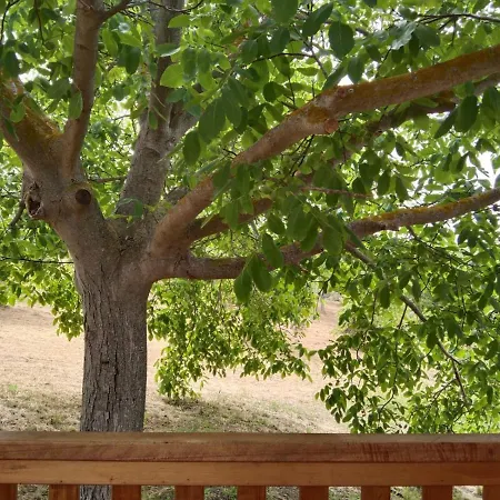 La Casetta Sotto L'albero La Carovana Gitana Hébergement de vacances *
