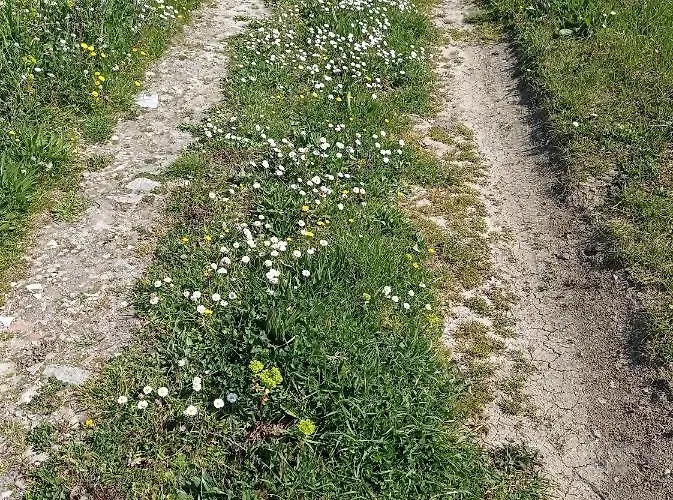 펜션 La Casetta Sotto L'albero La Carovana Gitana *