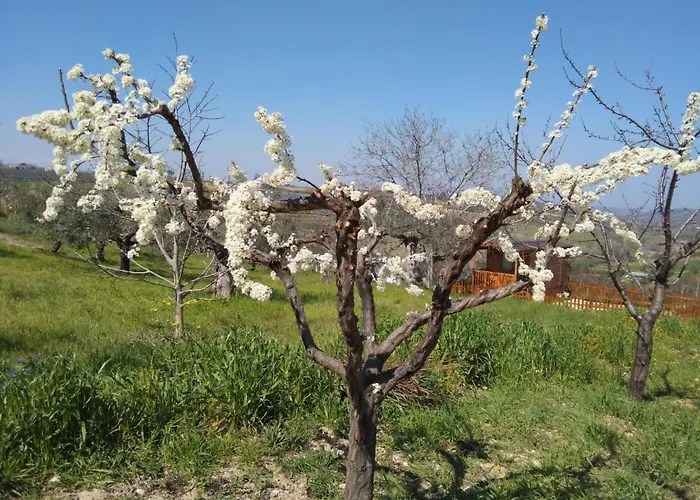 펜션 La Casetta Sotto L'albero La Carovana Gitana 바스토