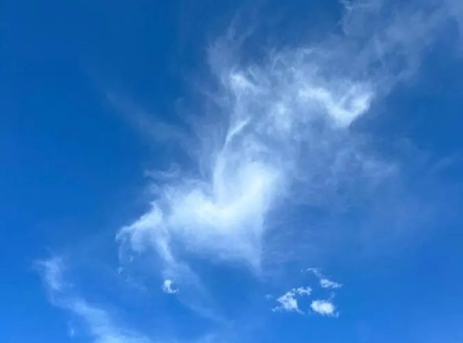 La Casetta Sotto L'albero La Carovana Gitana 펜션 *