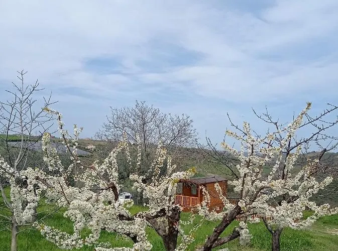 펜션 La Casetta Sotto L'albero La Carovana Gitana *