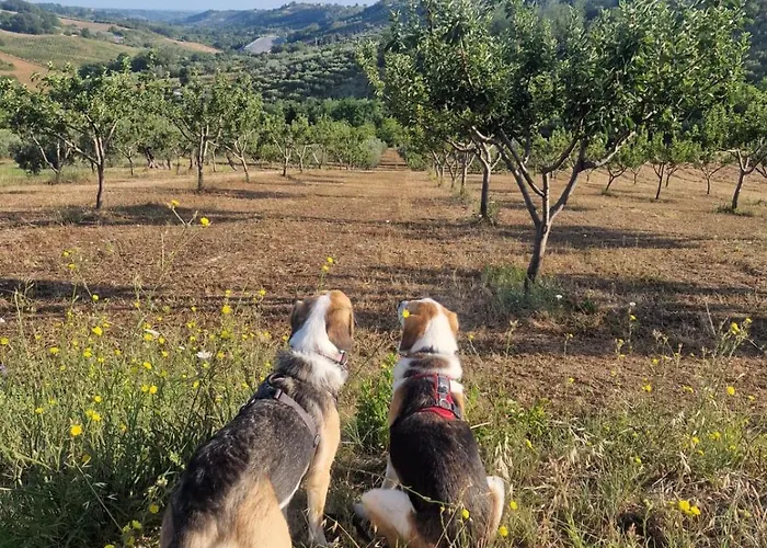La Casetta Sotto L'albero La Carovana Gitana * 바스토