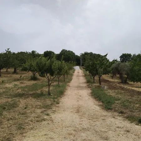 Dom wakacyjny La Casetta Sotto L'albero La Carovana Gitana