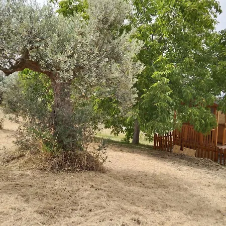 Dom wakacyjny La Casetta Sotto L'albero La Carovana Gitana *