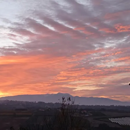 La Casetta Sotto L'albero La Carovana Gitana