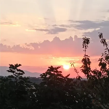 La Casetta Sotto L'albero La Carovana Gitana *