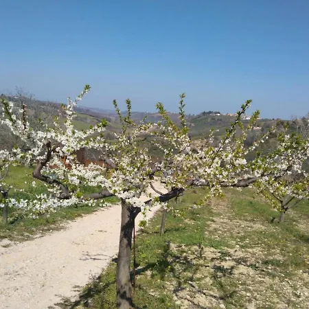 La Casetta Sotto L'albero La Carovana Gitana Holiday home