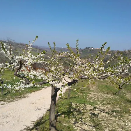 La Casetta Sotto L'albero La Carovana Gitana Ferienhaus