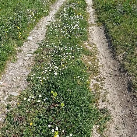 Hébergement de vacances La Casetta Sotto L'albero La Carovana Gitana *