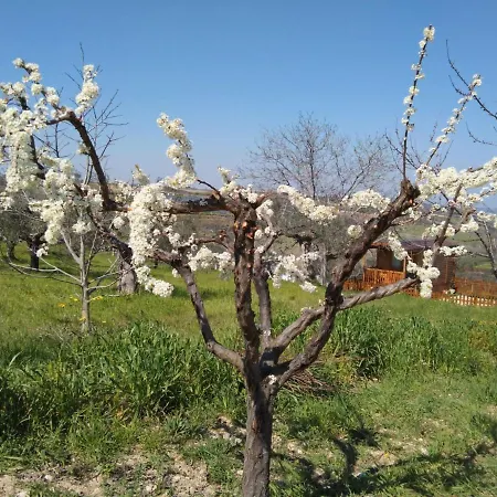 Holiday home La Casetta Sotto L'albero La Carovana Gitana Vasto