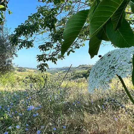 La Casetta Sotto L'albero La Carovana Gitana *