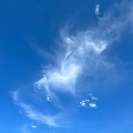 La Casetta Sotto L'albero La Carovana Gitana Hébergement de vacances *