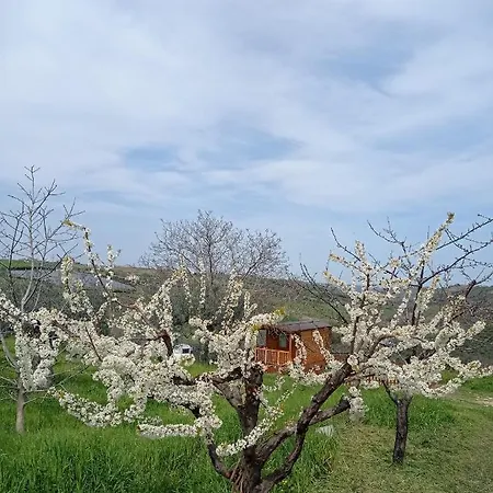 Hébergement de vacances La Casetta Sotto L'albero La Carovana Gitana *