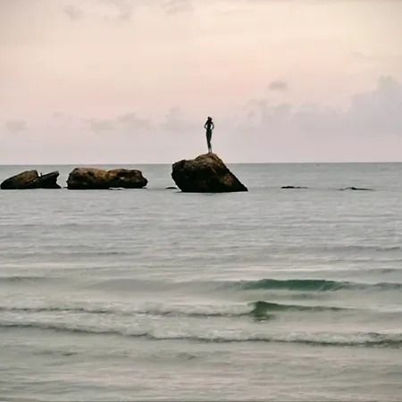La Casetta Sotto L'albero La Carovana Gitana Hébergement de vacances Vasto