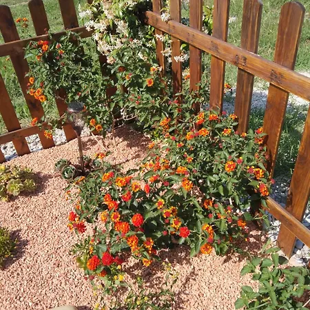 La Casetta Sotto L'albero La Carovana Gitana *