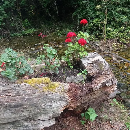 La Casetta Sotto L'albero La Carovana Gitana Vasto