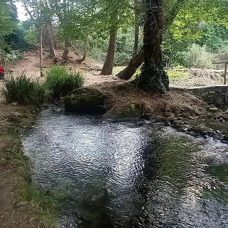 La Casetta Sotto L'albero La Carovana Gitana Hébergement de vacances *