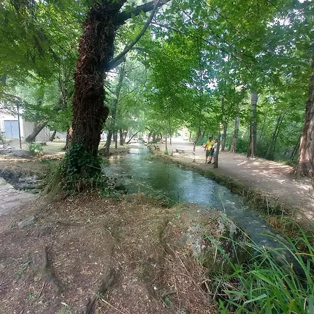 La Casetta Sotto L'albero La Carovana Gitana Vasto