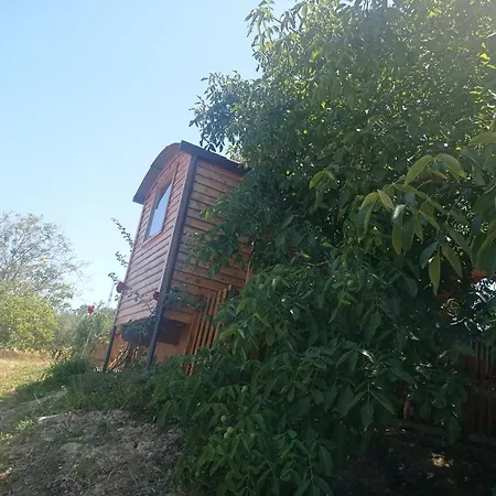 La Casetta Sotto L'albero La Carovana Gitana Hébergement de vacances