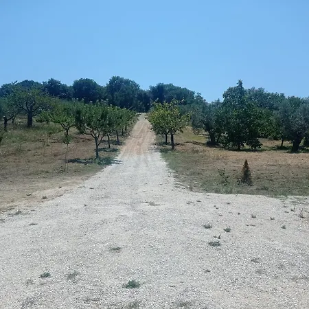 La Casetta Sotto L'albero La Carovana Gitana *