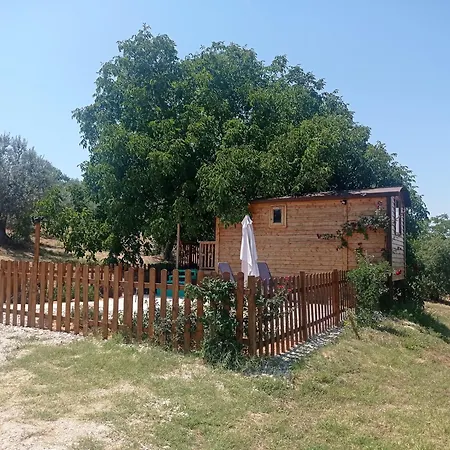 Hébergement de vacances La Casetta Sotto L'albero La Carovana Gitana
