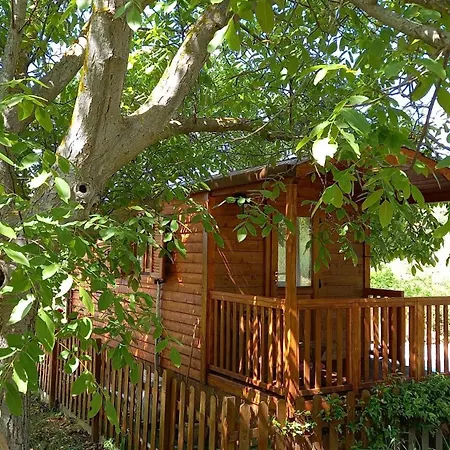La Casetta Sotto L'albero La Carovana Gitana Vakantiehuis *