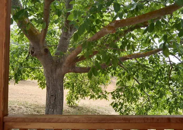 La Casetta Sotto L'albero La Carovana Gitana Vakantiehuis *