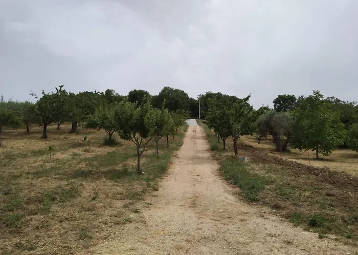 Tatil Evi La Casetta Sotto L'albero La Carovana Gitana