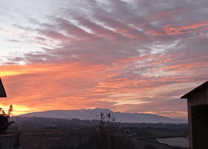 La Casetta Sotto L'albero La Carovana Gitana
