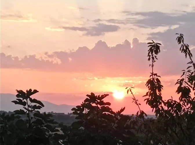 La Casetta Sotto L'albero La Carovana Gitana *