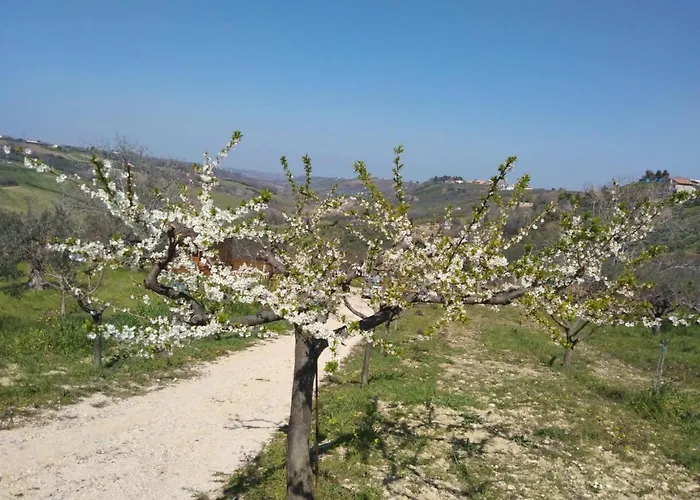 La Casetta Sotto L'albero La Carovana Gitana Tatil Evi