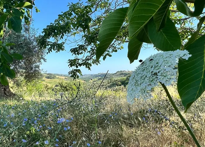 La Casetta Sotto L'albero La Carovana Gitana *