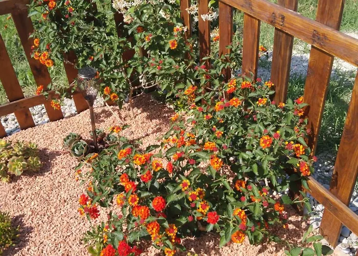 La Casetta Sotto L'albero La Carovana Gitana *