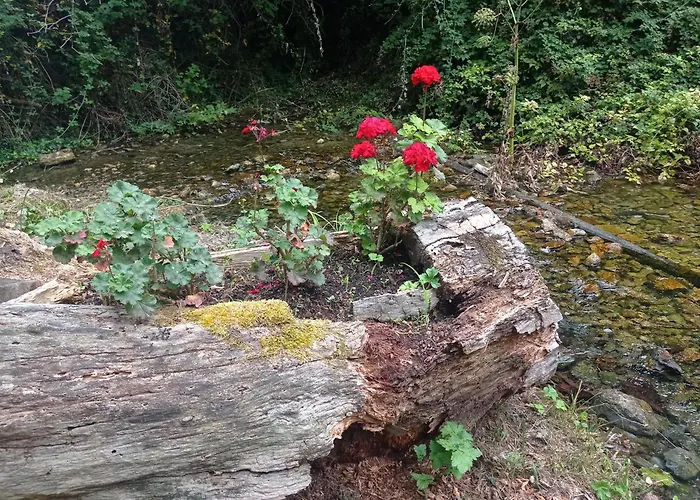 La Casetta Sotto L'albero La Carovana Gitana Vasto