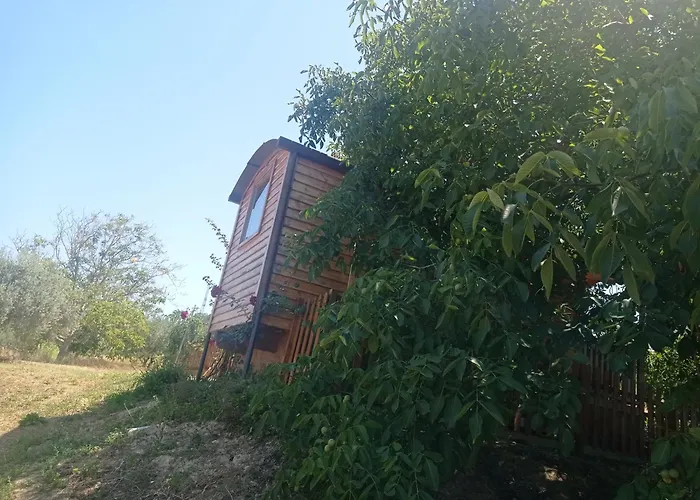 La Casetta Sotto L'albero La Carovana Gitana Tatil Evi