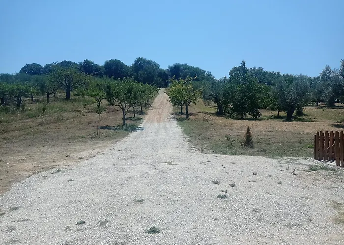 La Casetta Sotto L'albero La Carovana Gitana *